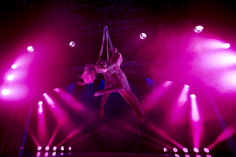 Interview: 'Let's Go!': Director Scott Maidment on Circus, Cabaret and Comedy in SABRAGE Image