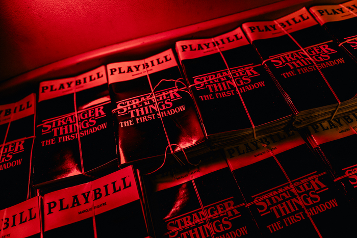 Photos: STRANGER THINGS: THE FIRST SHADOW Takes First Broadway Bows Image