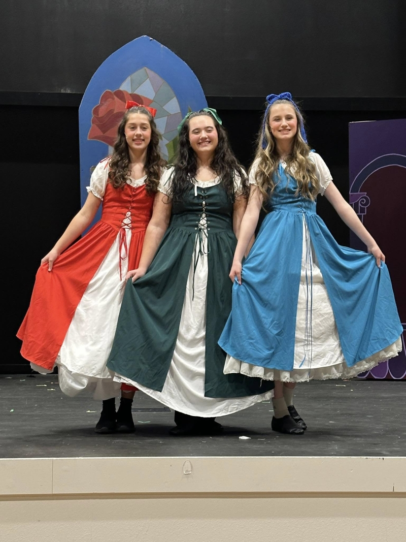 Review: DISNEY'S BEAUTY AND THE BEAST at Conway Christian High School Image