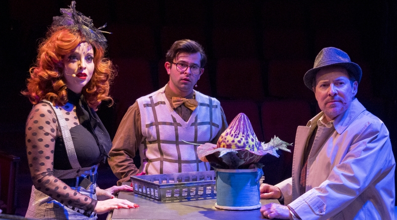 Interview: Justin Meyer on Directing LITTLE SHOP OF HORRORS at The Nocturne Theatre Interview: Justin Meyer on Directing LITTLE SHOP OF HORRORS at The Nocturne Theatre Image