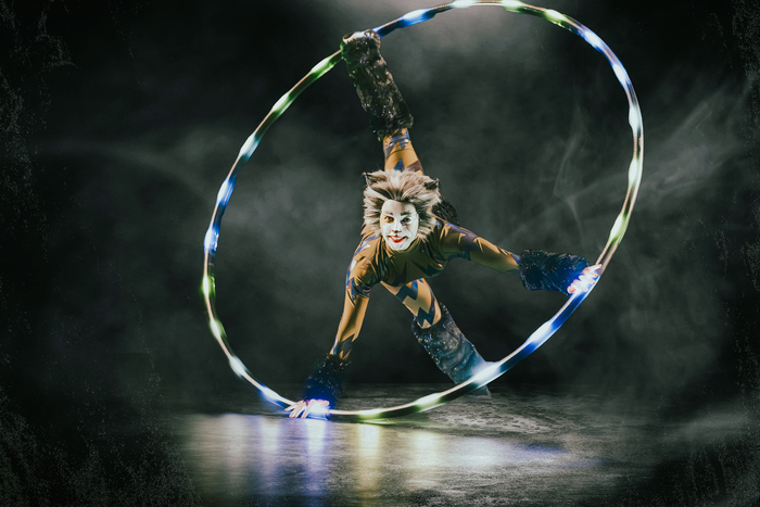 Photos: Meet the Cast of CATS At Paramount Theatre Image