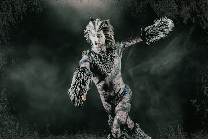 Photos: Meet the Cast of CATS At Paramount Theatre Image