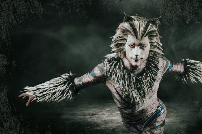 Photos: Meet the Cast of CATS At Paramount Theatre Image