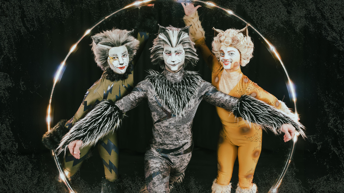 Photos: Meet the Cast of CATS At Paramount Theatre Image