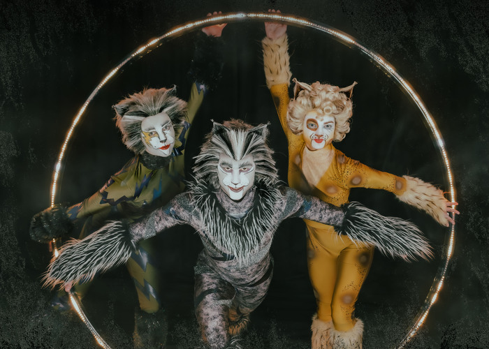 Photos: Meet the Cast of CATS At Paramount Theatre Image
