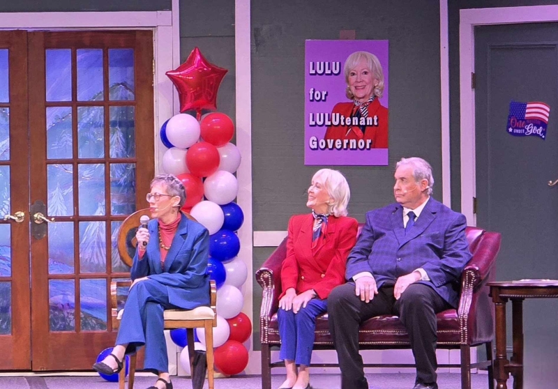 Review: THE OUTSIDER with the Hot Springs Village Players at The Coronado Center Image