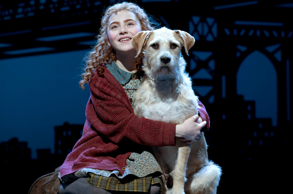 How Often are Live Animals in Broadway Shows? Image