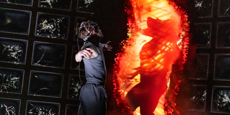 Wake Up With BroadwayWorld April 23, 2025 Image