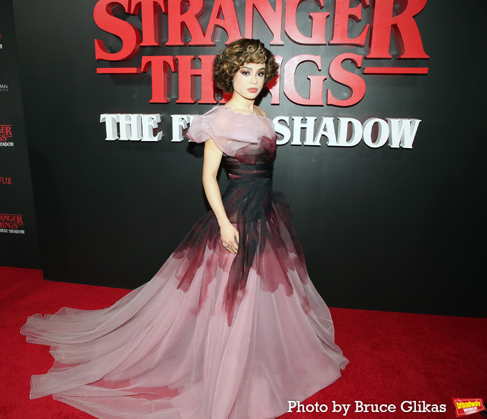 Photos: STRANGER THINGS: THE FIRST SHADOW Cast on Opening Night!  Image