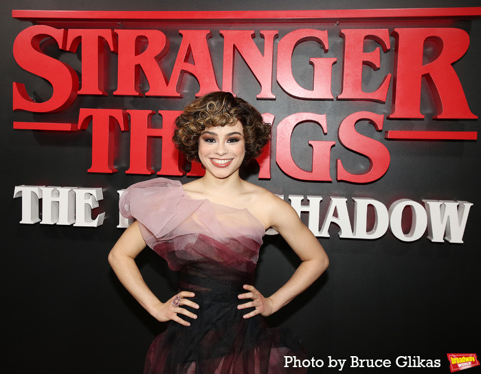 Photos: STRANGER THINGS: THE FIRST SHADOW Cast on Opening Night!  Image