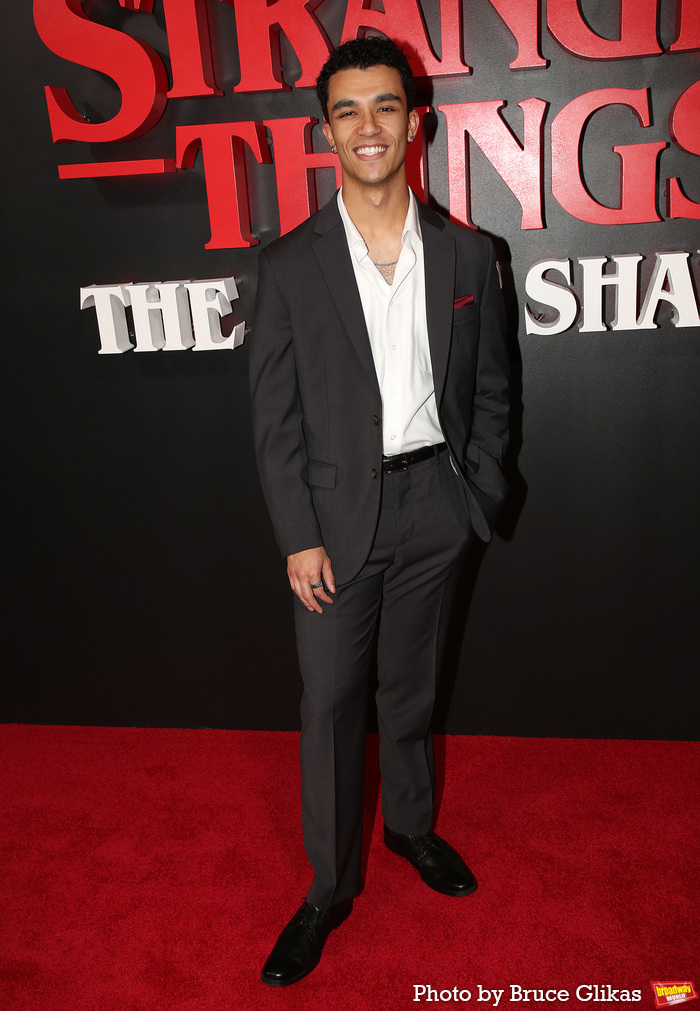 Photos: STRANGER THINGS: THE FIRST SHADOW Cast on Opening Night!  Image