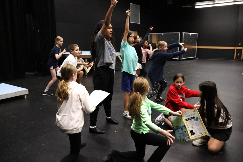 Previews: PIRATES PAST NOON KIDS at Straz's TECO Theater Image