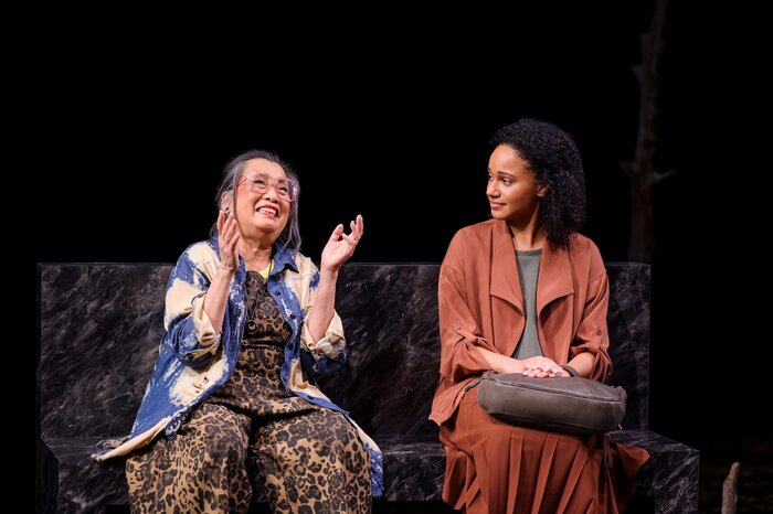 Photos: THE AVES At Berkeley Repertory Theatre Image