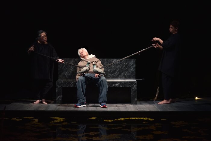 Photos: THE AVES At Berkeley Repertory Theatre Image