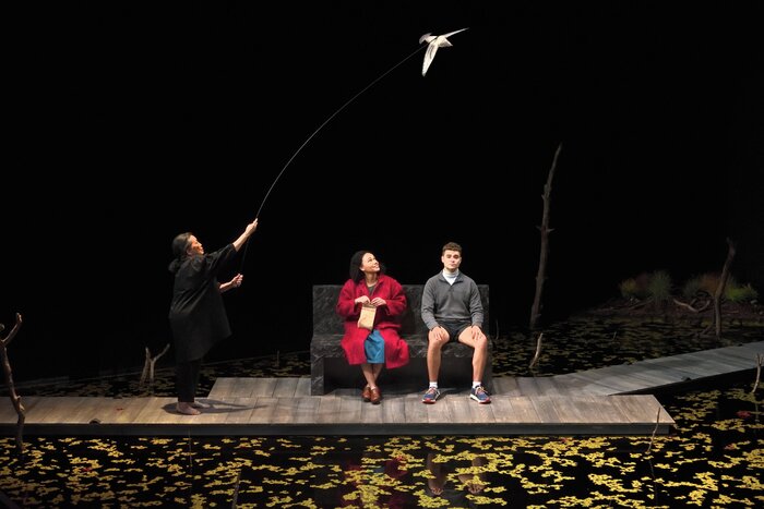 Photos: THE AVES At Berkeley Repertory Theatre Image