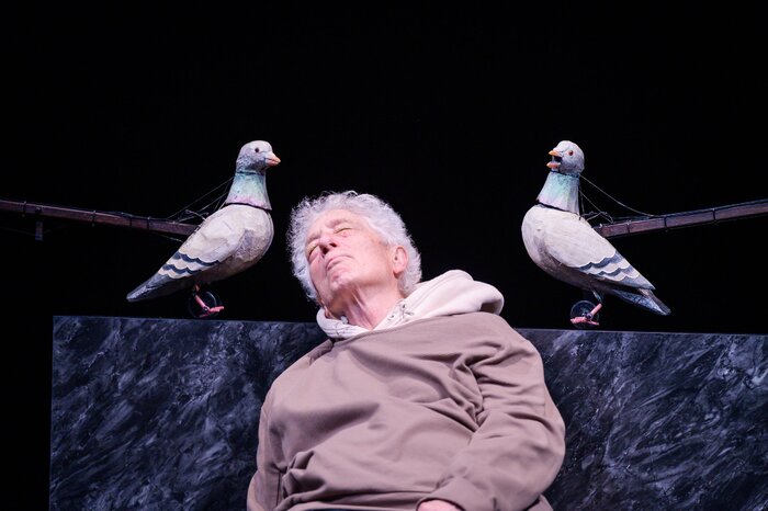 Photos: THE AVES At Berkeley Repertory Theatre Image