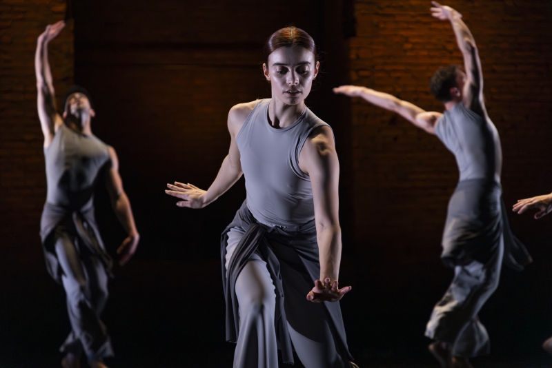 Review: Gibney Company Lets Art be Art Image