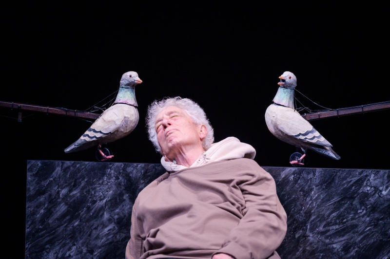 Review: THE AVES at Berkeley Repertory Theatre Image