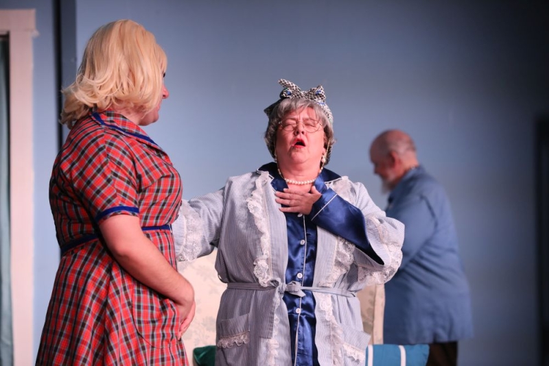 Review: LEADING LADIES at Murry's Dinner Playhouse Image