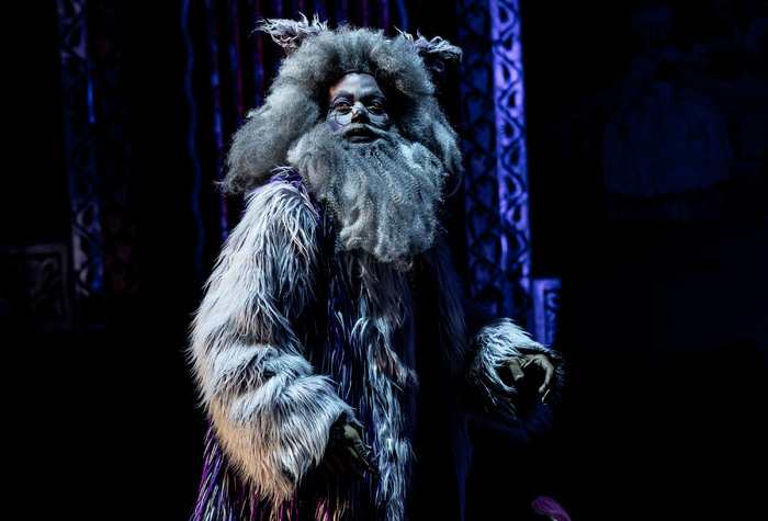 Photos: Circus-Themed CATS Soars At Chicago's Paramount Theatre Image
