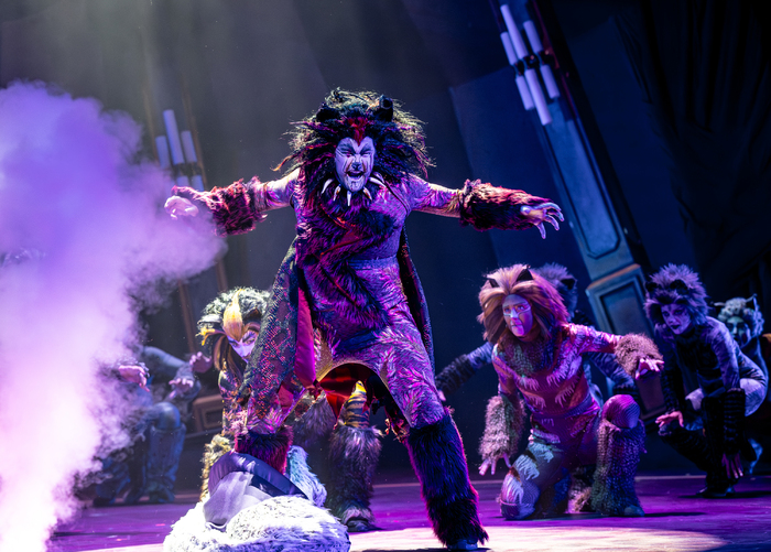 Photos: Circus-Themed CATS Soars At Chicago's Paramount Theatre Image