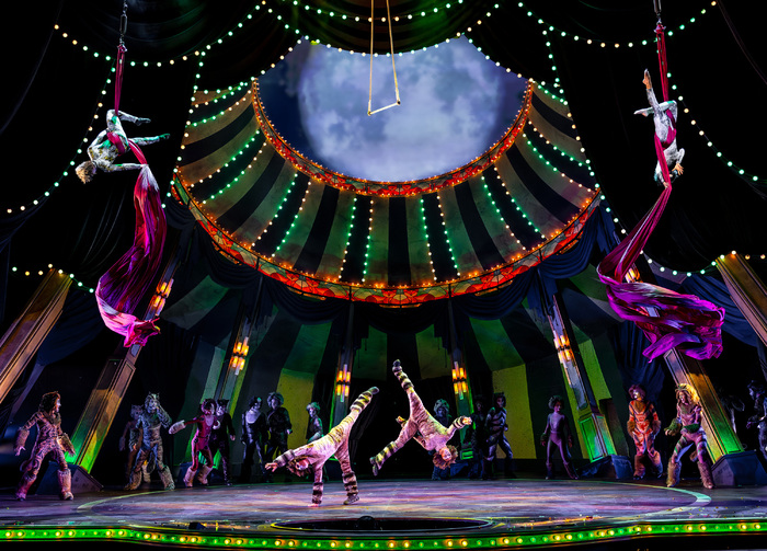 Photos: Circus-Themed CATS Soars At Chicago's Paramount Theatre Image