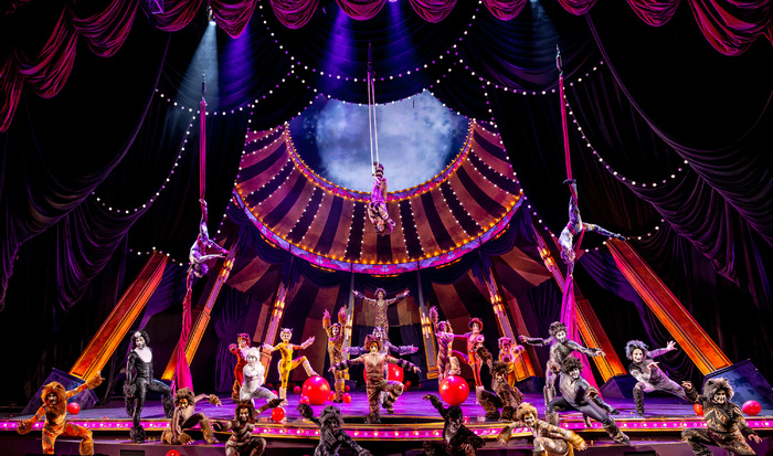 Photos: Circus-Themed CATS Soars At Chicago's Paramount Theatre Image