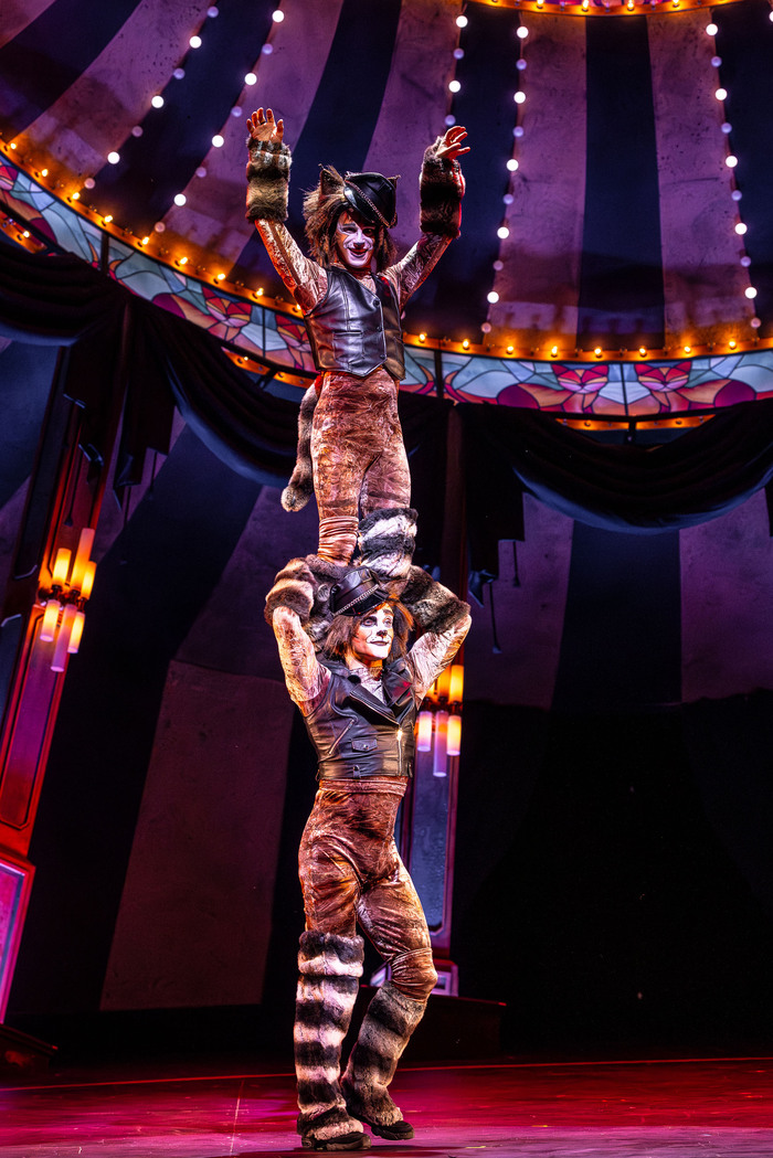Photos: Circus-Themed CATS Soars At Chicago's Paramount Theatre Image