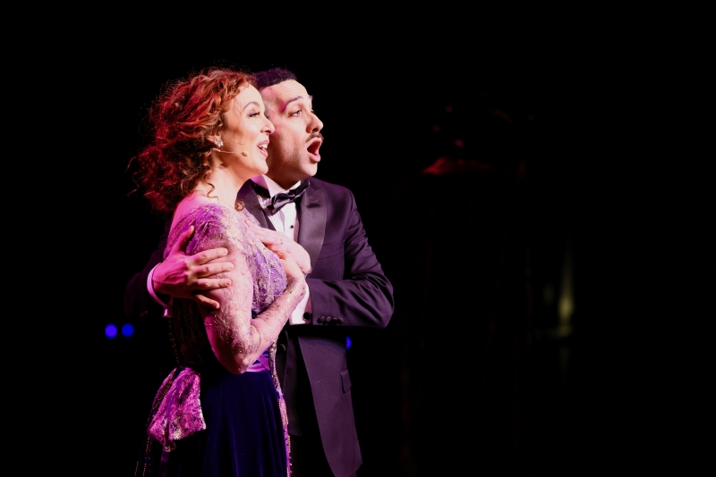 Review: THE STORY OF A ROSE: A MUSICAL REVERIE ON THE GREAT WAR at NVCC'S Schlesinger Center Image