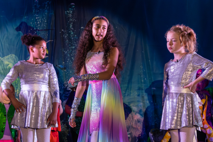 Photos: First look at Rise Up Art Alliance’s THE RAINBOW FISH MUSICAL Image