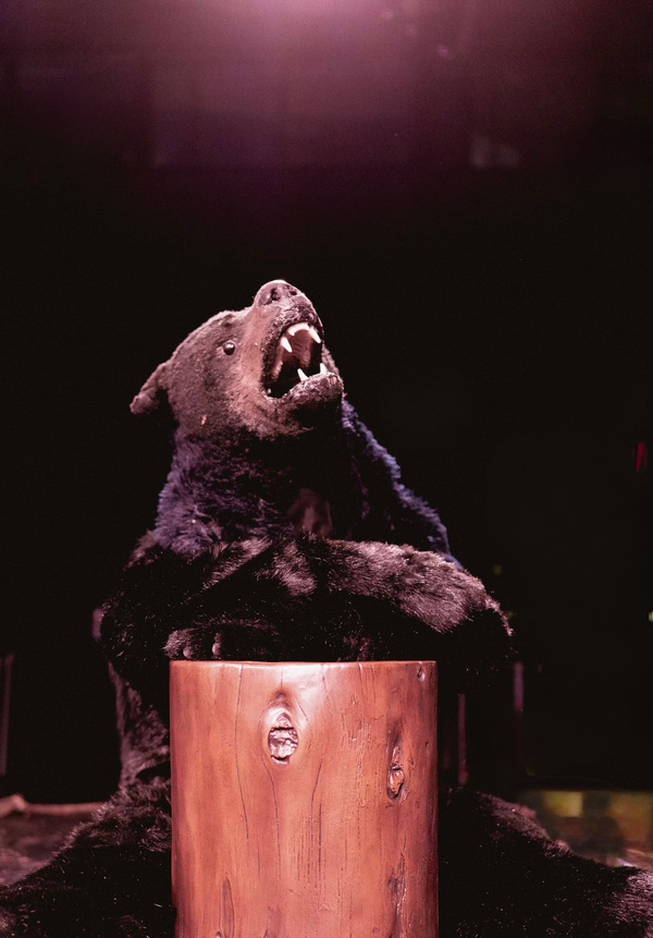 Photos: First Look At GOLDILOCKS HAS QUESTIONS Off-Broadway Image