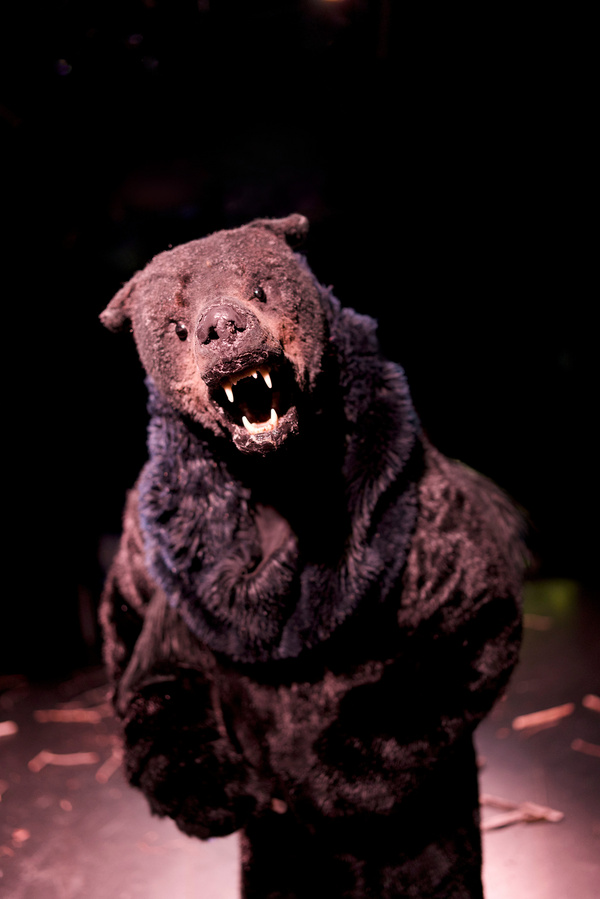 Photos: First Look At GOLDILOCKS HAS QUESTIONS Off-Broadway Image