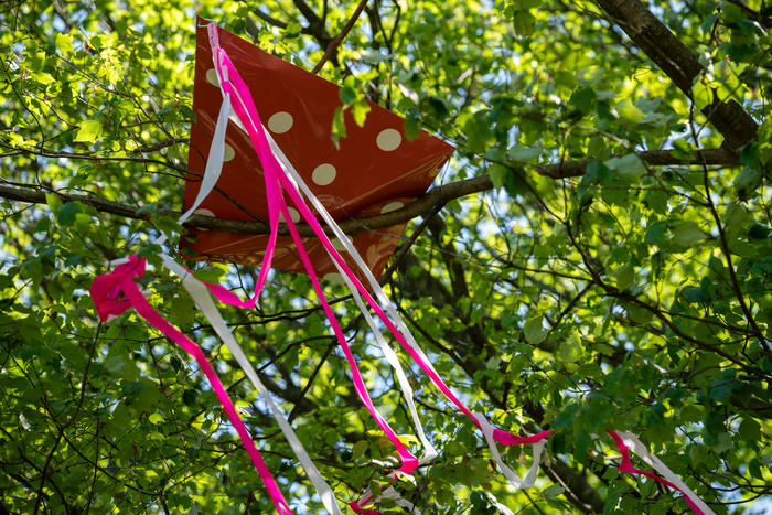 Photos: Governors Island Arts Debuts REST/PLAY Exhibition Image