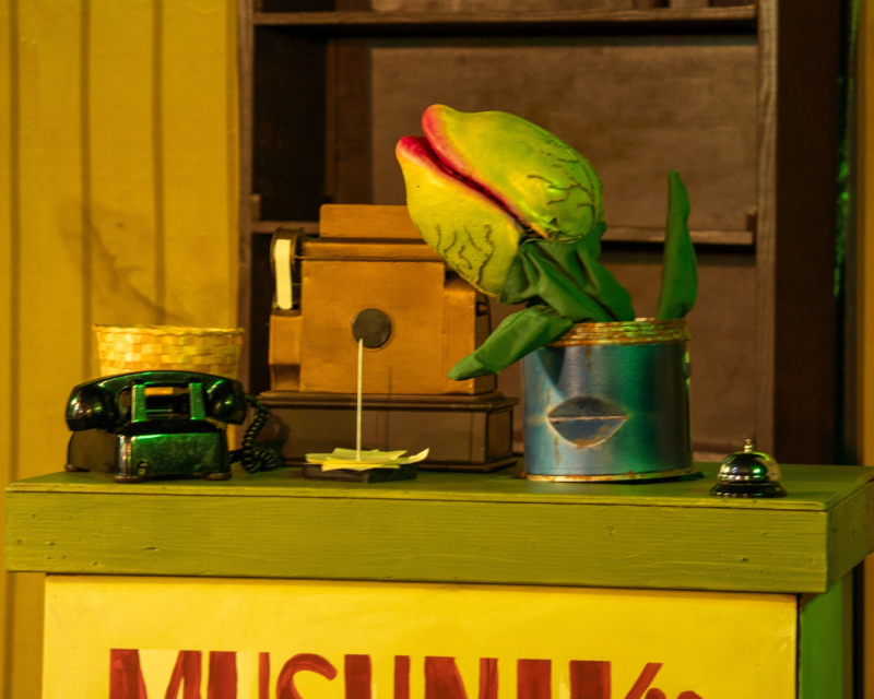 Review: LITTLE SHOP OF HORRORS at Red Curtain Theatre Image