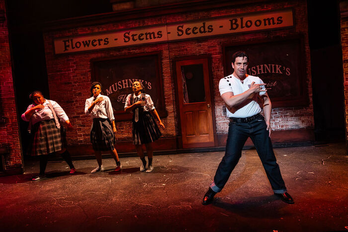 Photos: LITTLE SHOP OF HORRORS At Greater Boston Stage Company Image