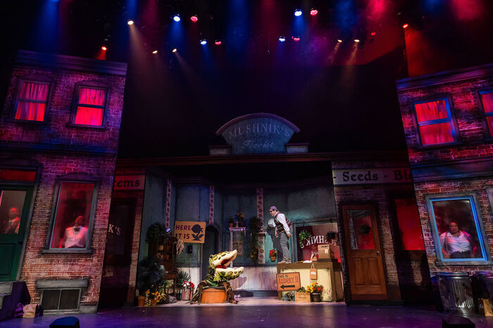 Photos: LITTLE SHOP OF HORRORS At Greater Boston Stage Company Image