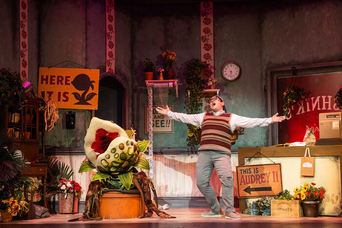 Photos: LITTLE SHOP OF HORRORS At Greater Boston Stage Company Image
