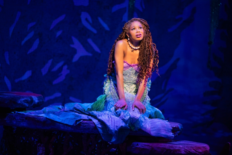 Interview: Hillary Fisher Stars in THE LITTLE MERMAID at Paper Mill Playhouse Image