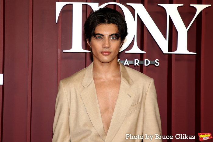 Photos: 2025 Tony Awards- Stars Walk the Red Carpet Image