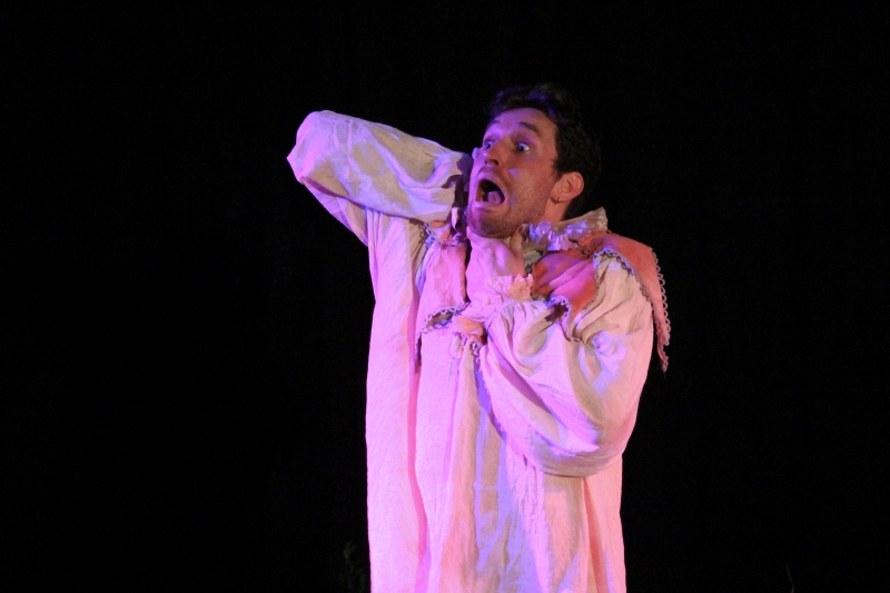 Review: HAMSTRUNG: A SHAKESPEAREAN GHOST STORY, The Glitch Image