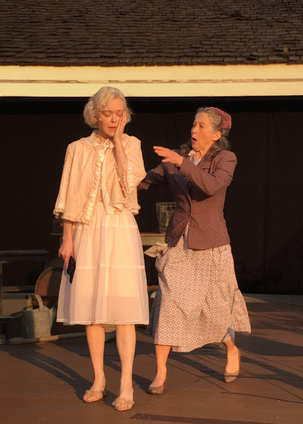 Photos: Tennessee Williams' TIGER TAIL From Shakespeare Downtown Image