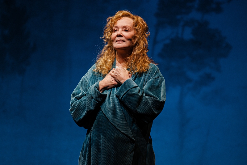 Summer 2025 NYC Theatre Guide: Broadway, Off-Broadway & Outdoors Image