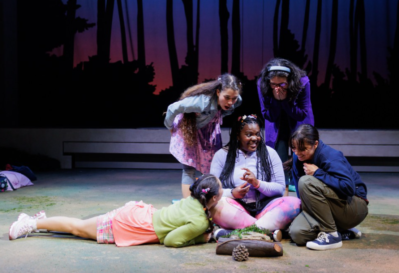 Review: INDIAN PRINCESSES at La Jolla Playhouse Image