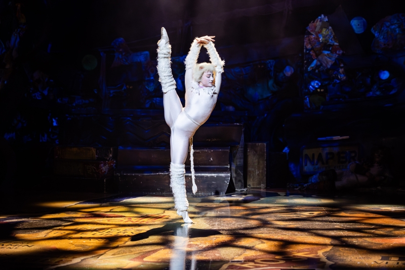 Review: CATS Returns to Sydney’s Theatre Royal After 40 Years Image