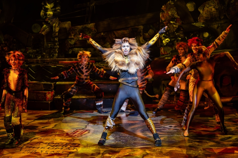 Review: CATS Returns to Sydney’s Theatre Royal After 40 Years Image