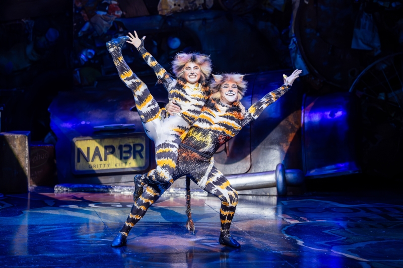 Review: CATS Returns to Sydney’s Theatre Royal After 40 Years Image