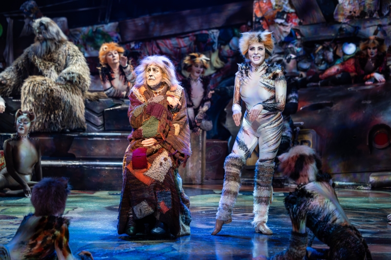 Review: CATS Returns to Sydney’s Theatre Royal After 40 Years Image