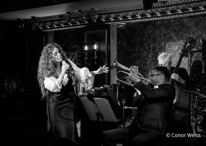 Photos: See Highlights from MELISSA ERRICO SINGS SONDHEIM at 54 Below Image