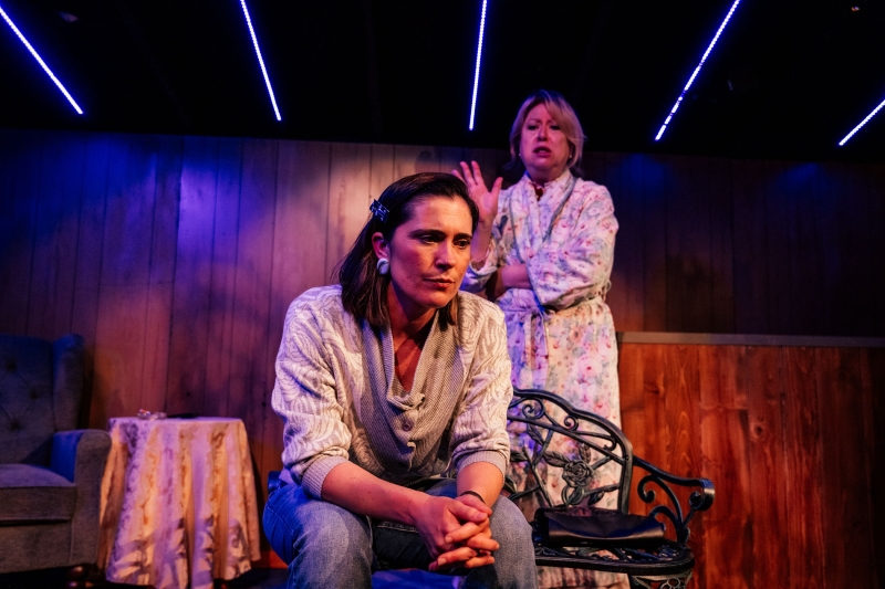 Review: NICE GIRL at Rogue Machine at The Matrix Theatre Image