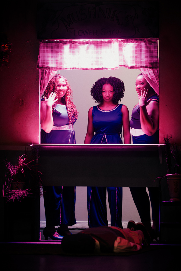 Photos: LITTLE SHOP OF HORRORS at Summer Place Theatre Image